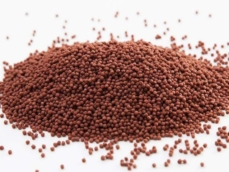 ۲۲- اهمیت تغذیه و نحوه غذا دهی در پرورش ماهی قزل الا