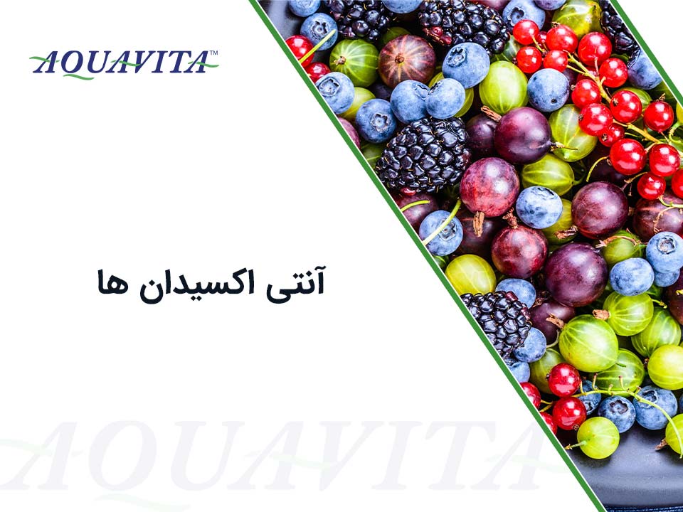 ۲۹- انتی اکسیدان در جیره مرغ بومی