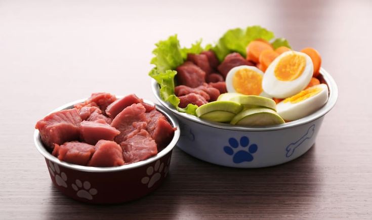 🐶 ۳٠- ارزش غذایی چربی در جیره غذایی سگ ها