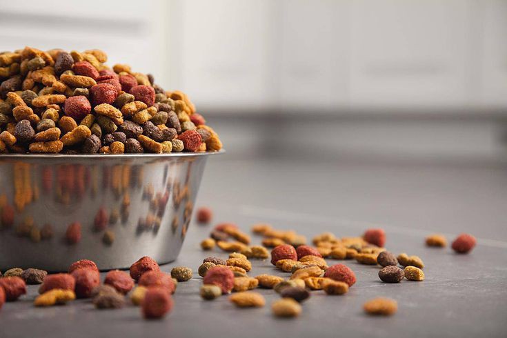 ❓ غذای خشک سگ پتچی چه ویژگی هایی دارد؟