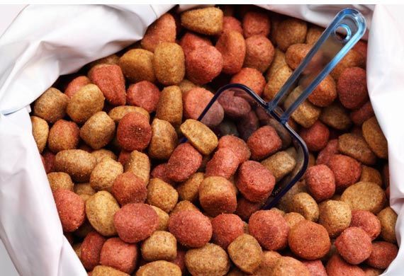 ❓ غذای خشک سگ برزیلی شامل چه برندهایی میباشد؟