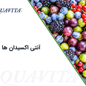 ۲۹- انتی اکسیدان در جیره مرغ بومی