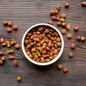 ❓ غذای خشک سگ تریر چه ویژگی های باید داشته باشد؟