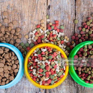 ❓ غذای خشک سگ چیست؟