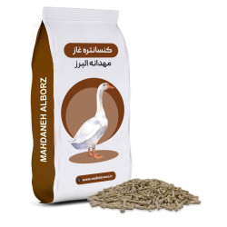 🦆 دان غاز