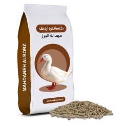 🦆 دان اردک