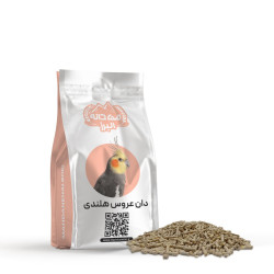 🦜 دان عروس هلندی